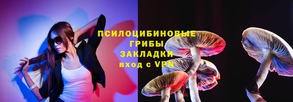 спиды Верея