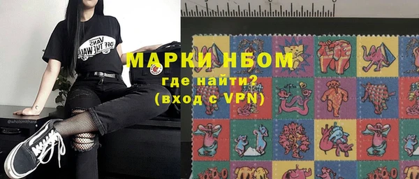 амф Верхний Тагил