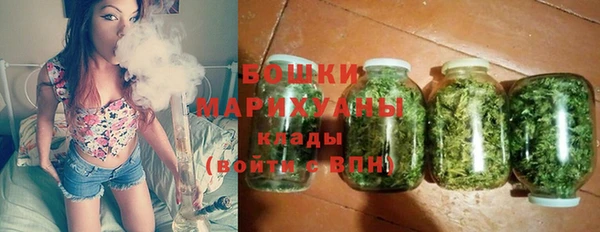 амф Верхний Тагил
