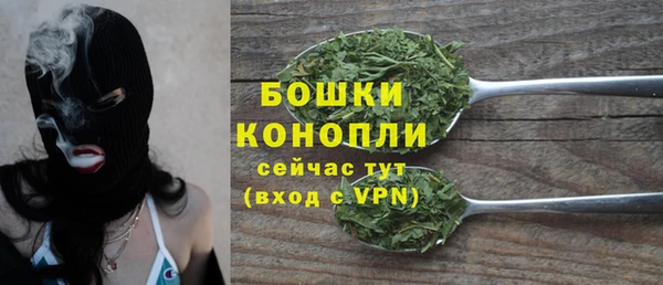амф Верхний Тагил