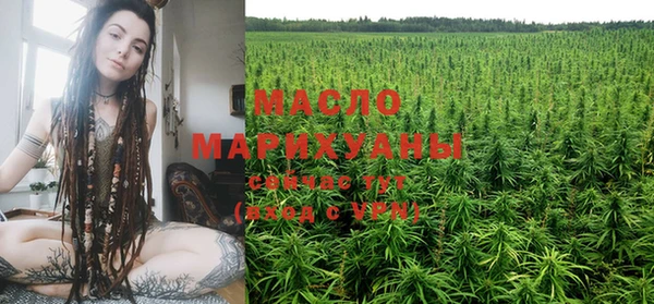 амф Верхний Тагил