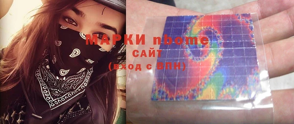 амф Верхний Тагил