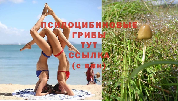 спиды Верея